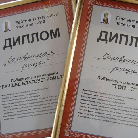 Победитель в номинации ТОП - 3 и ЛУЧШЕЕ БЛАГОУСТРОЙСТВО